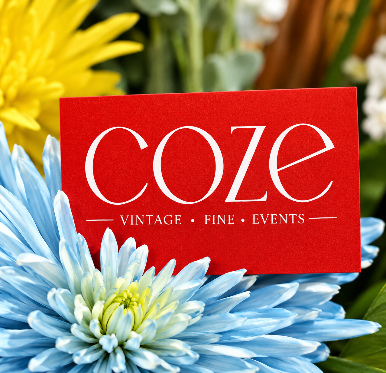 coze visit